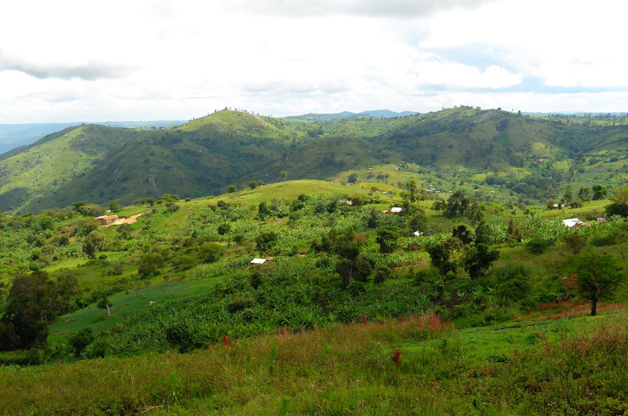 Uganda: Mountains of the Moon – Planetb612